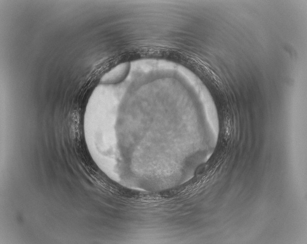 X0000115560964200912041049