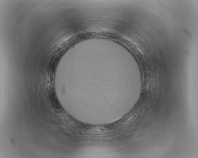 X0000115560966200912041049