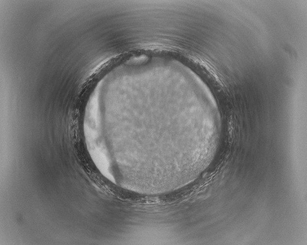 X0000115560968200912041049