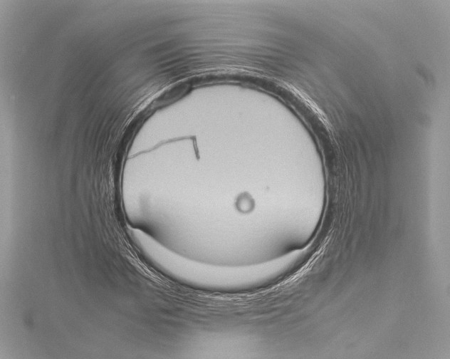 X0000115560969200912041049