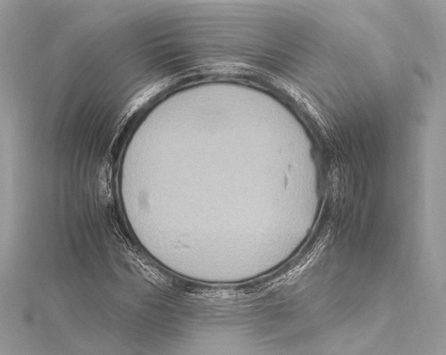 X0000115560970200912041049