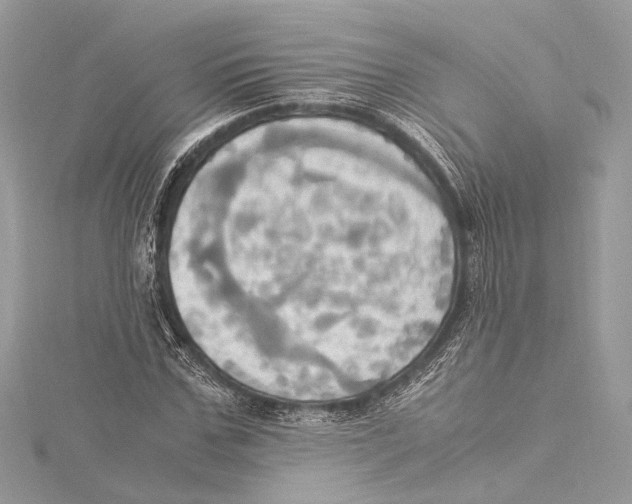 X0000115560971200912041049