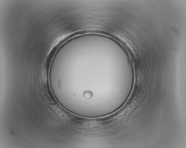 X0000115560973200912041049