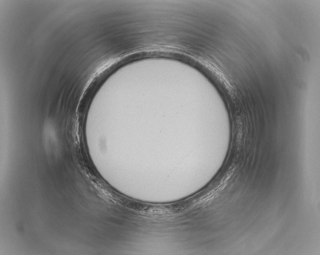 X0000115560974200912041049