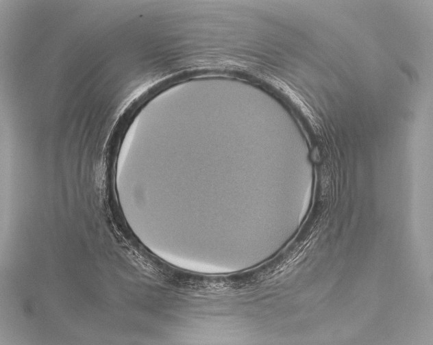 X0000115560975200912041049