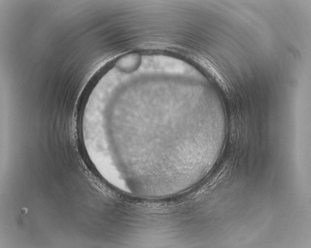 X0000115560976200912041049