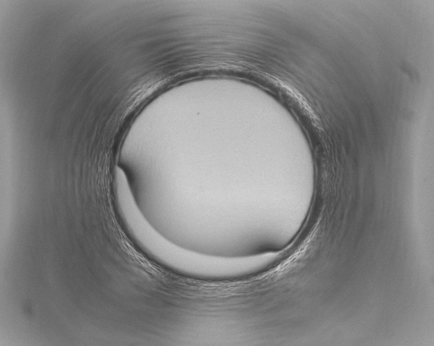 X0000115560977200912041049