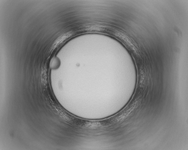 X0000115560978200912041049