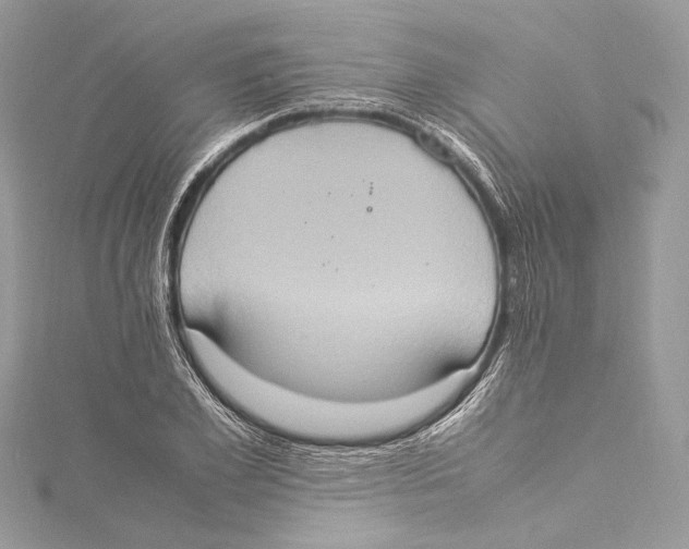 X0000115560981200912041049