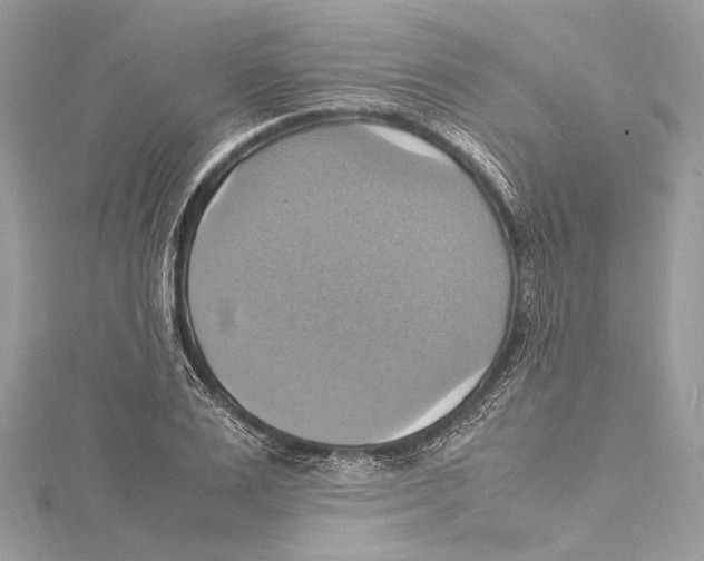 X0000115560983200912041049