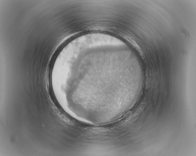 X0000115560984200912041049