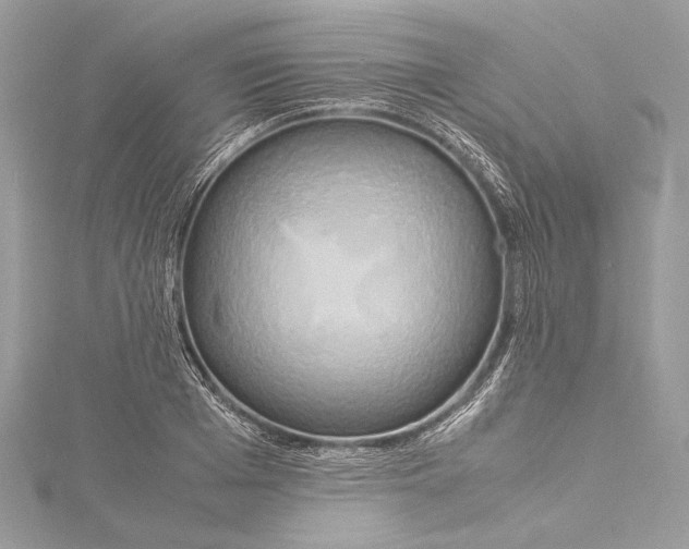 X0000115560985200912041049