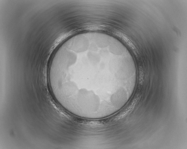 X0000115560986200912041049