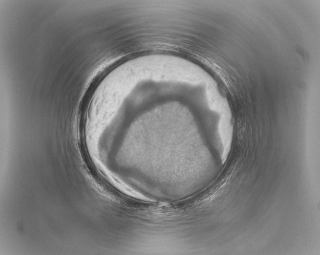 X0000115560987200912041049