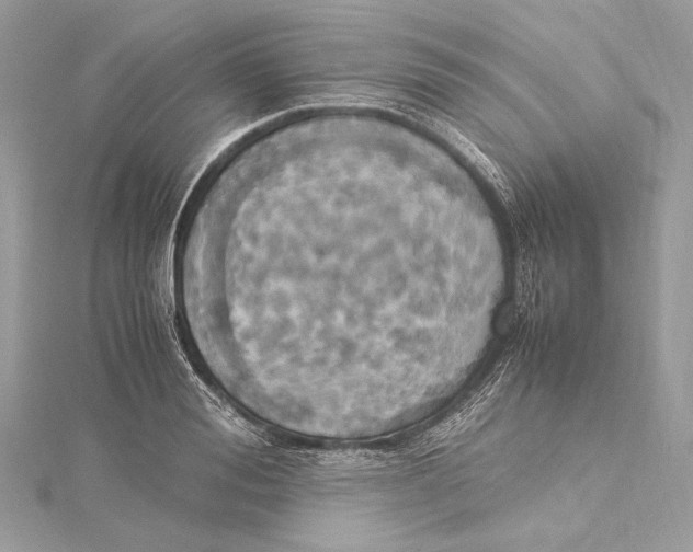 X0000115560988200912041049