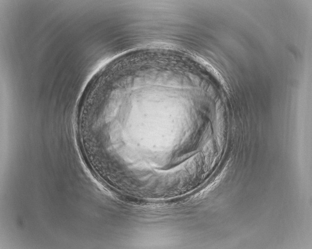 X0000115560989200912041049