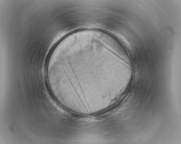 X0000115560990200912041049