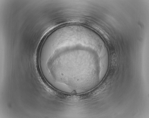 X0000115560991200912041049