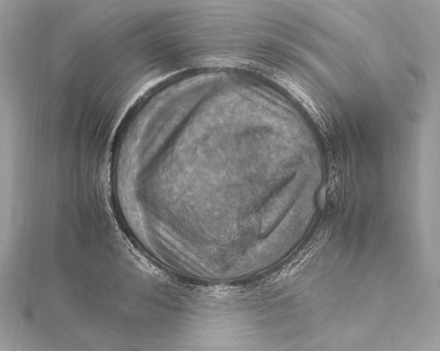 X0000115560992200912041049