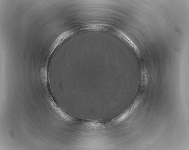 X0000115560994200912041049