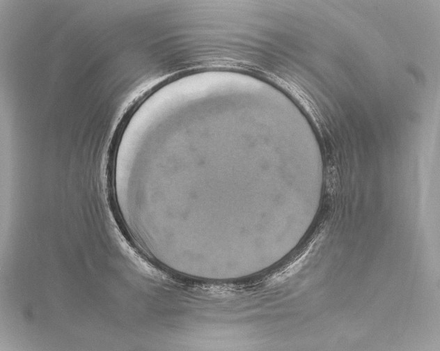 X0000115560995200912041049