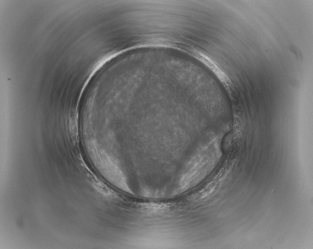 X0000115560996200912041049