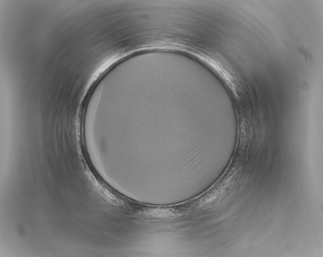 X0000115560998200912041049