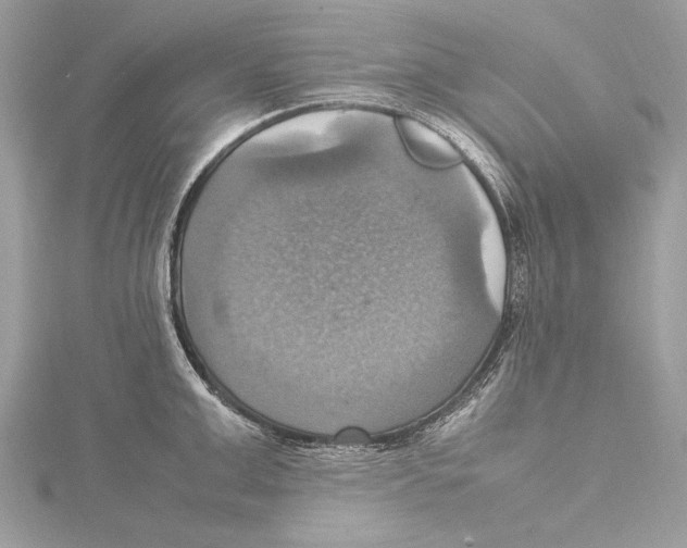 X0000115560999200912041049