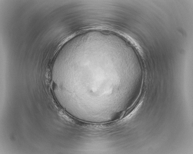 X0000115561001200912041049