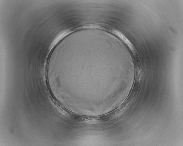 X0000115561002200912041049