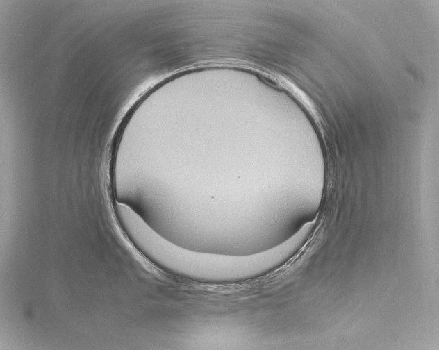 X0000115561005200912041049