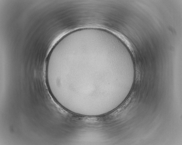 X0000115561006200912041049