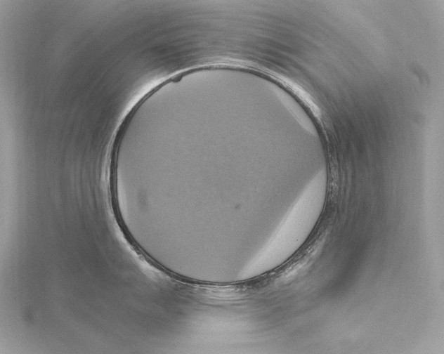 X0000115561007200912041049