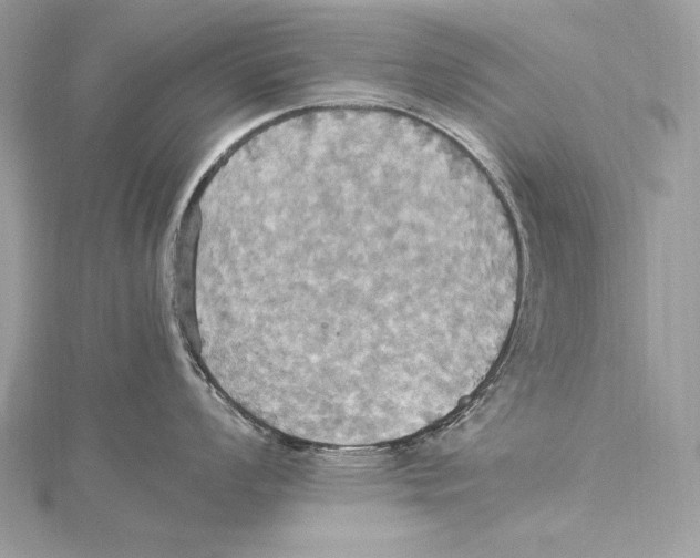 X0000115561008200912041049