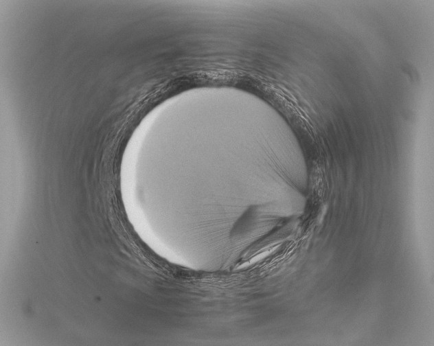 X0000115561009200912041048