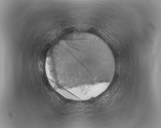 X0000115561010200912041048