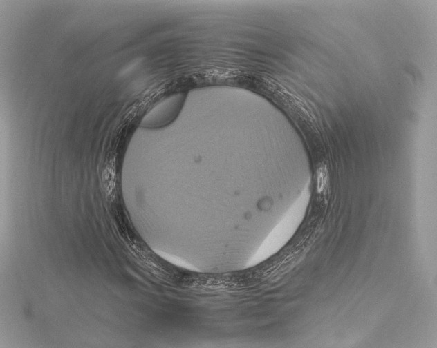 X0000115561011200912041048