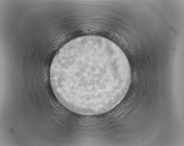 X0000115561012200912041048