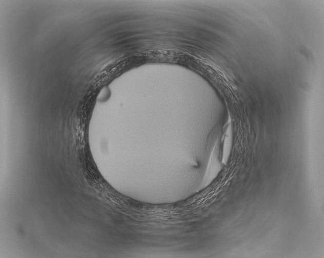 X0000115561013200912041048