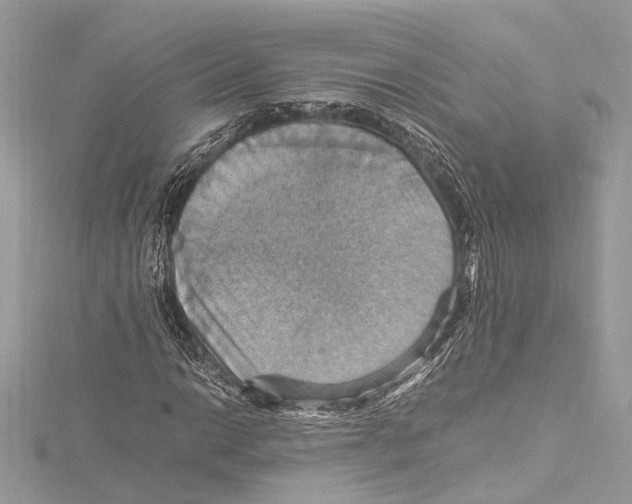 X0000115561014200912041048