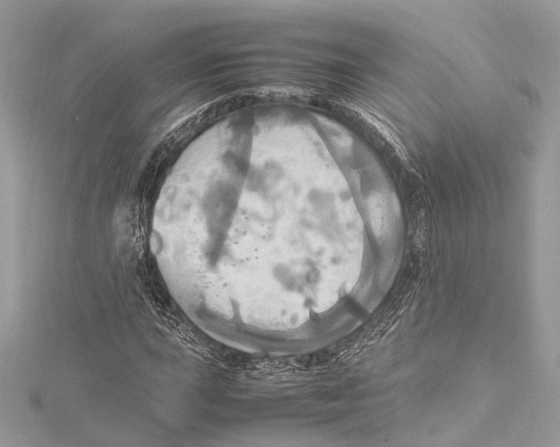 X0000115561015200912041048