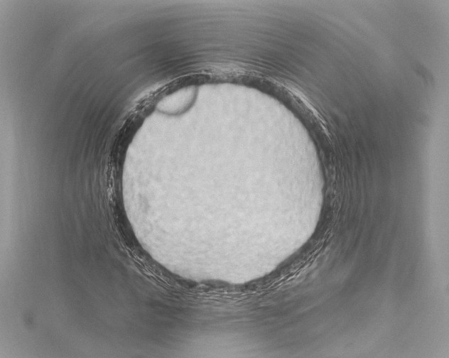 X0000115561016200912041048