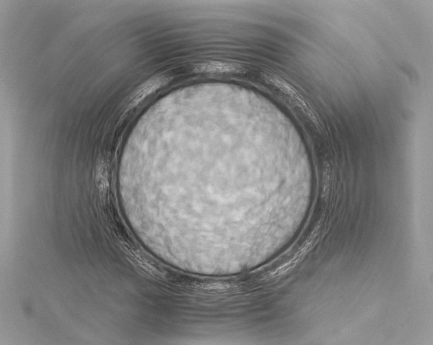 X0000115561017200912041048