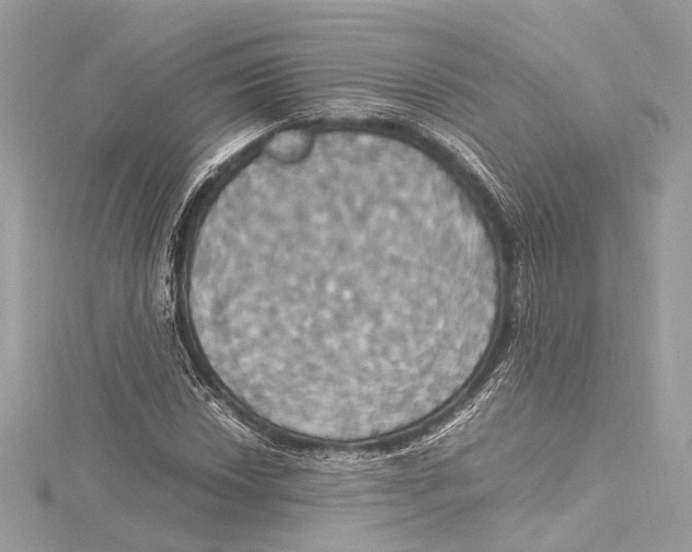 X0000115561018200912041048