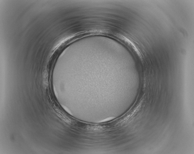 X0000115561019200912041048