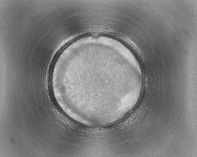 X0000115561020200912041048