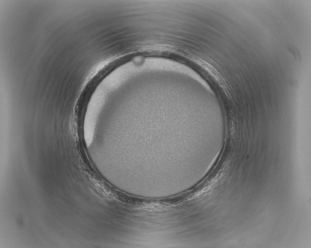 X0000115561022200912041048