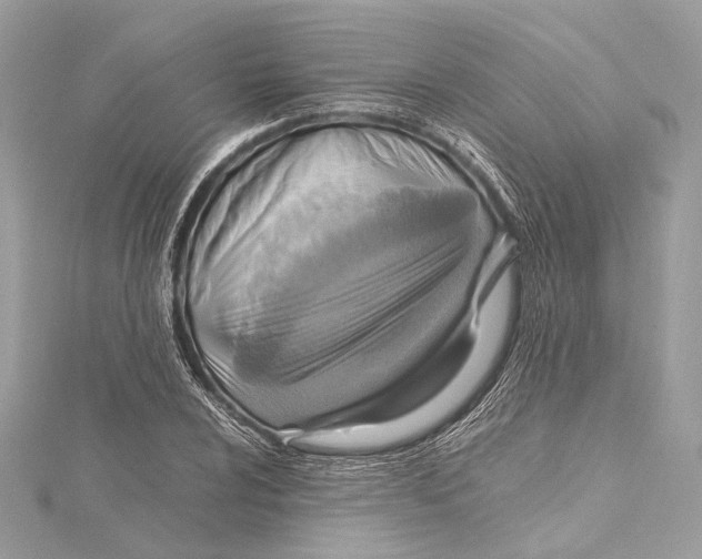 X0000115561024200912041048