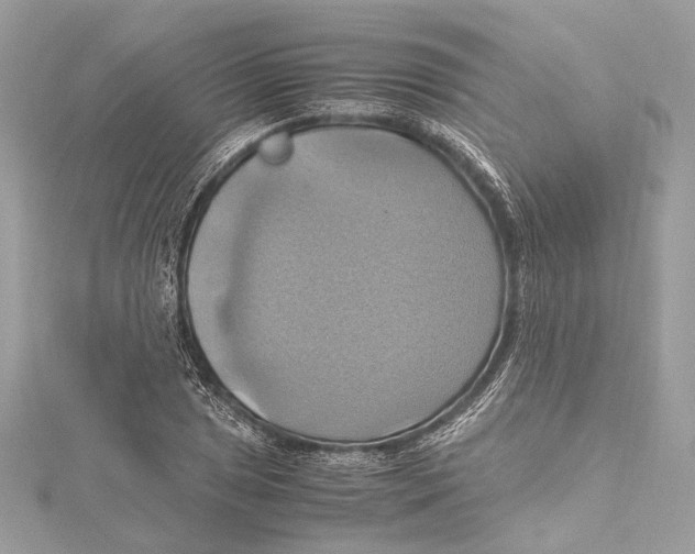 X0000115561025200912041049