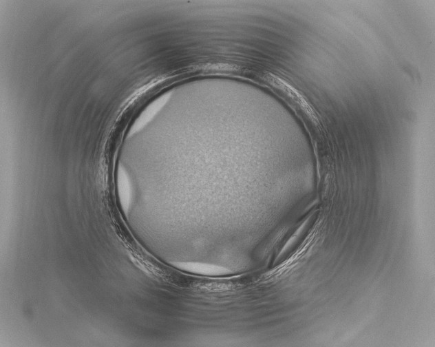 X0000115561027200912041049